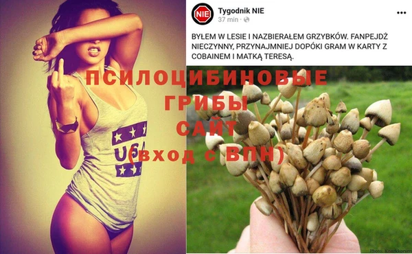 MESCALINE Баксан