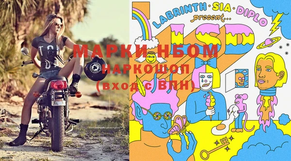молекула духа Балахна