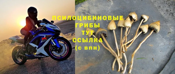 молекула духа Балахна