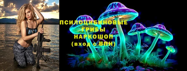 молекула духа Балахна